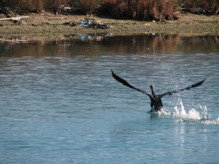 En el canal de Levkas (Grècia)
